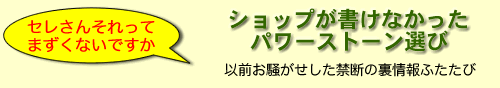 �V���b�v�������Ȃ������p���[�X�g�[���I�тւ̃����N
