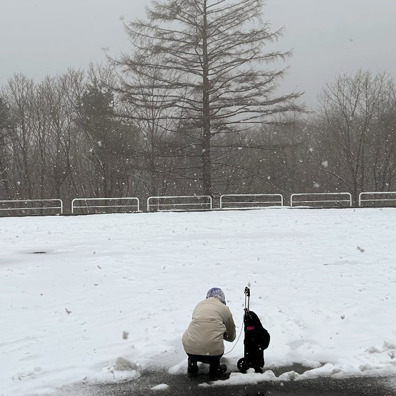 美し森でストーン雪中テスト