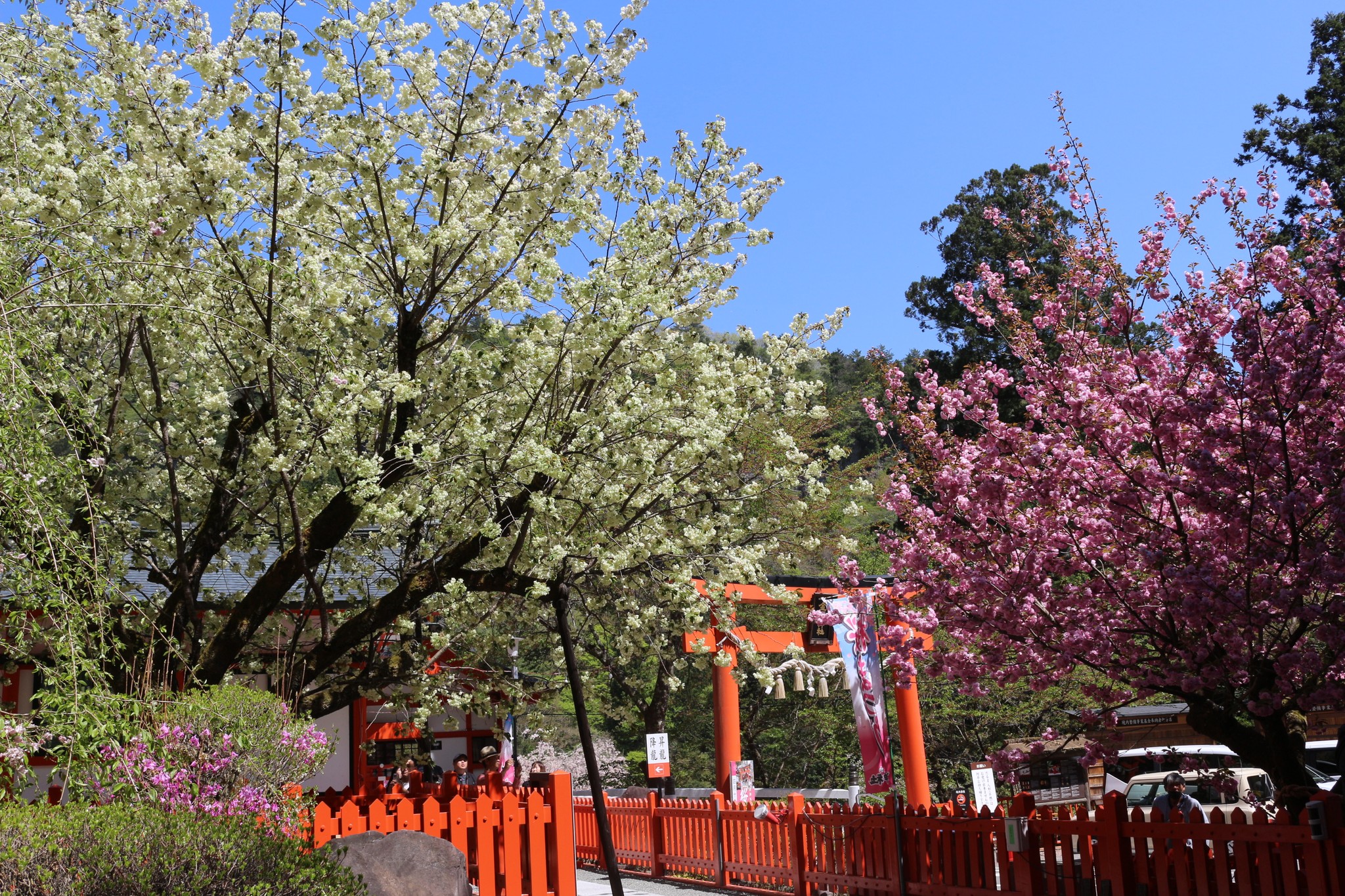 金櫻神社