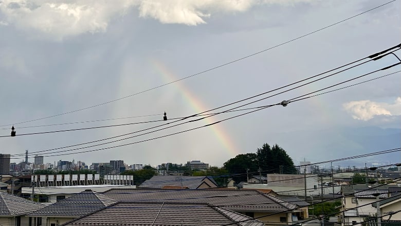 雨の後は虹