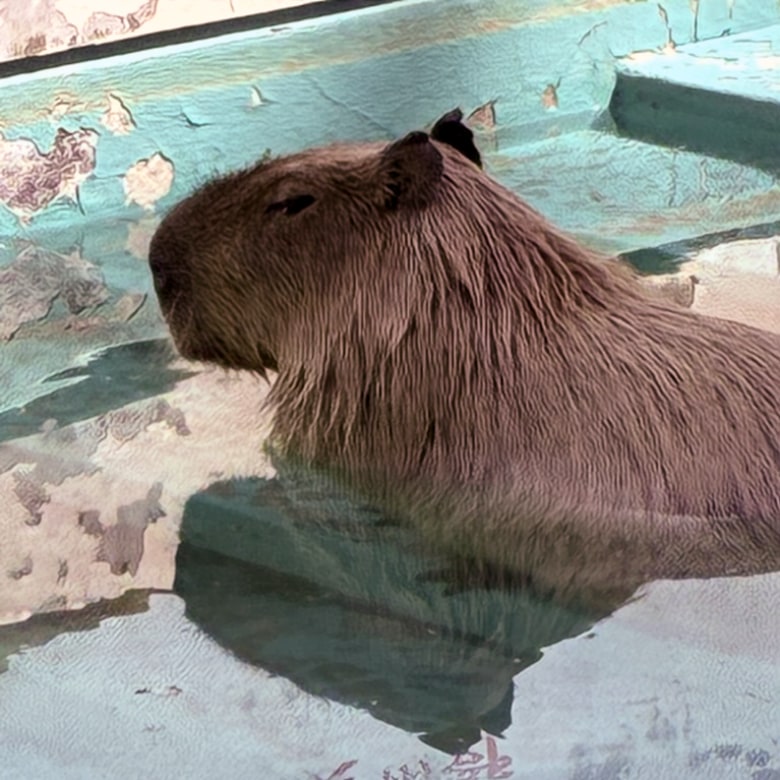 万力公園動物園