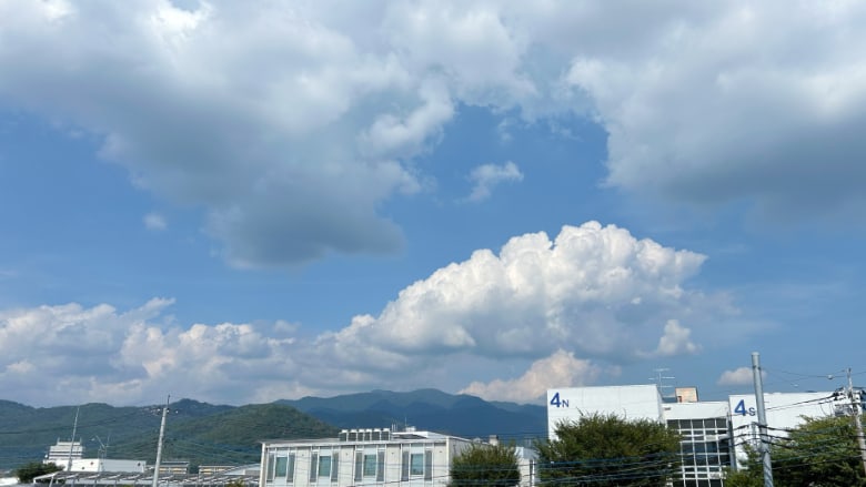 夏と秋の同居