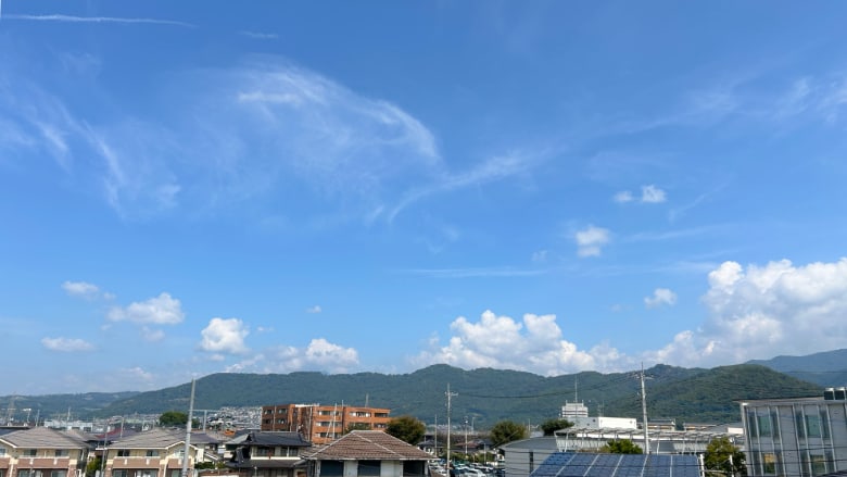 本日も積乱雲