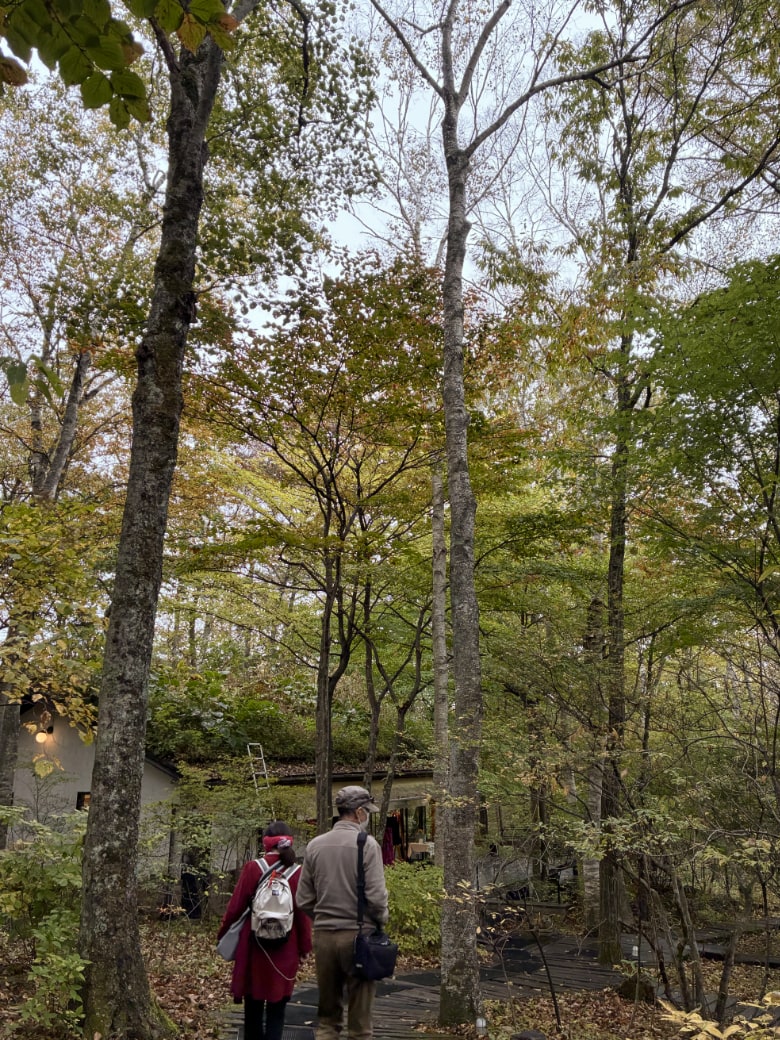 八ヶ岳倶楽部の森