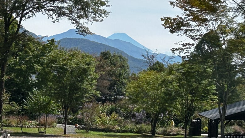 萌木の村から富士山
