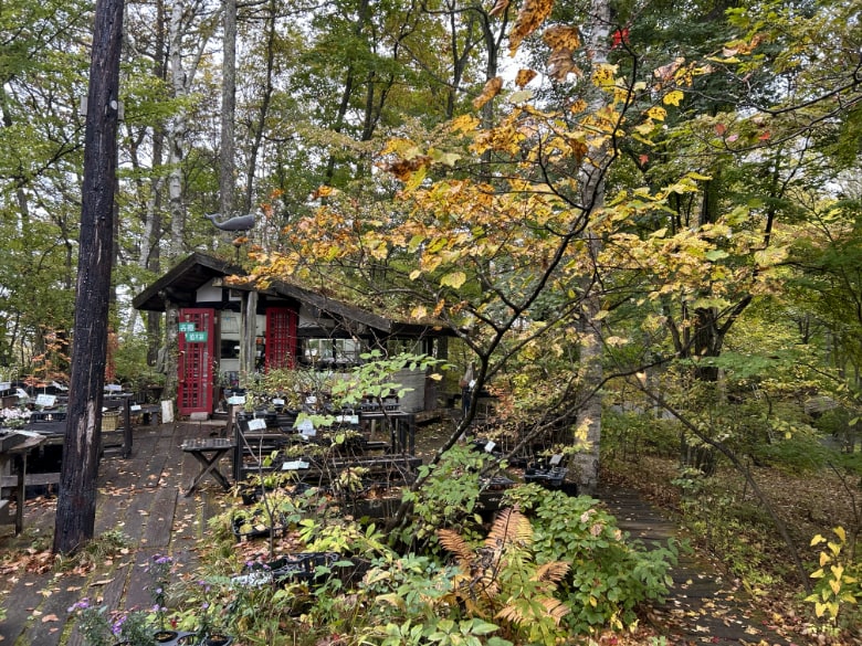 八ヶ岳倶楽部の森