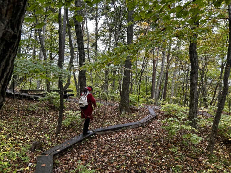 八ヶ岳倶楽部の森