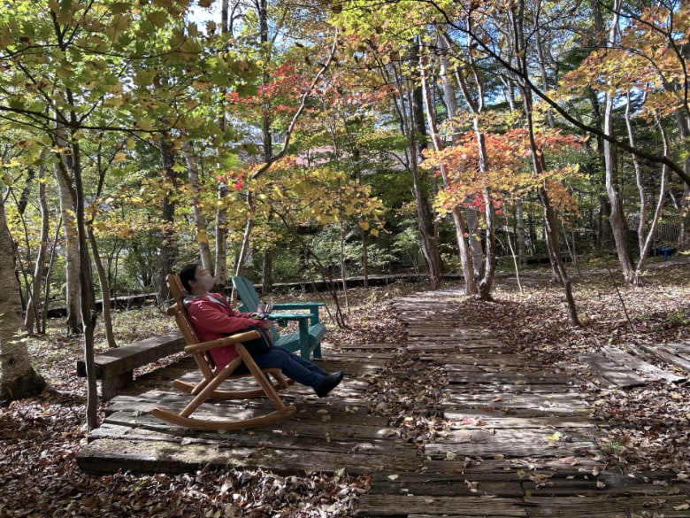 八ヶ岳倶楽部の森