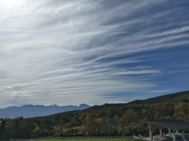 山梨県立まきば公園