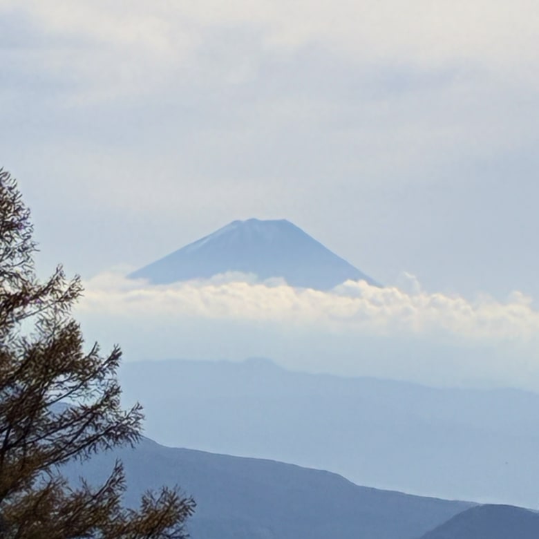まきば公園から見える富士山