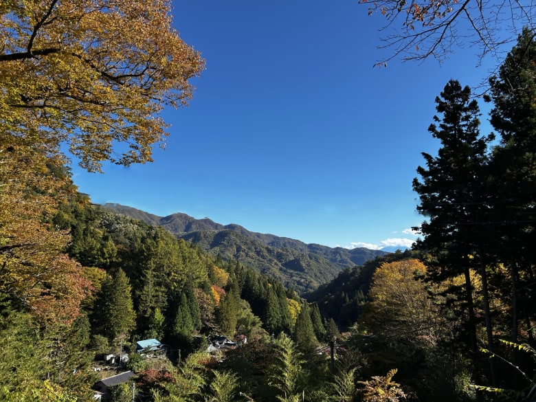 金櫻神社駐車場