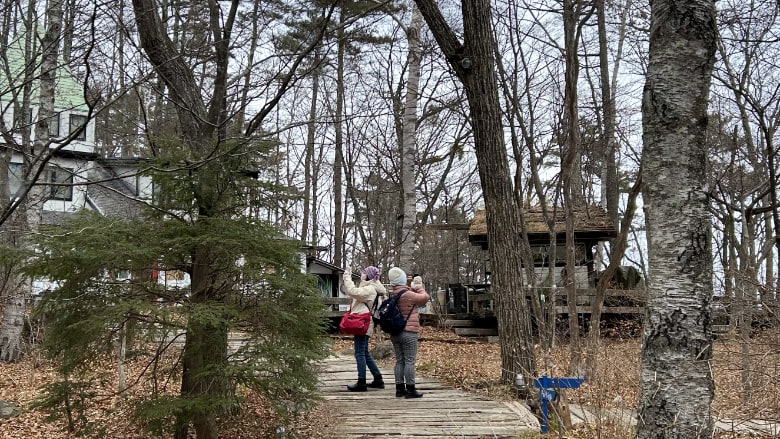 八ヶ岳倶楽部裏庭