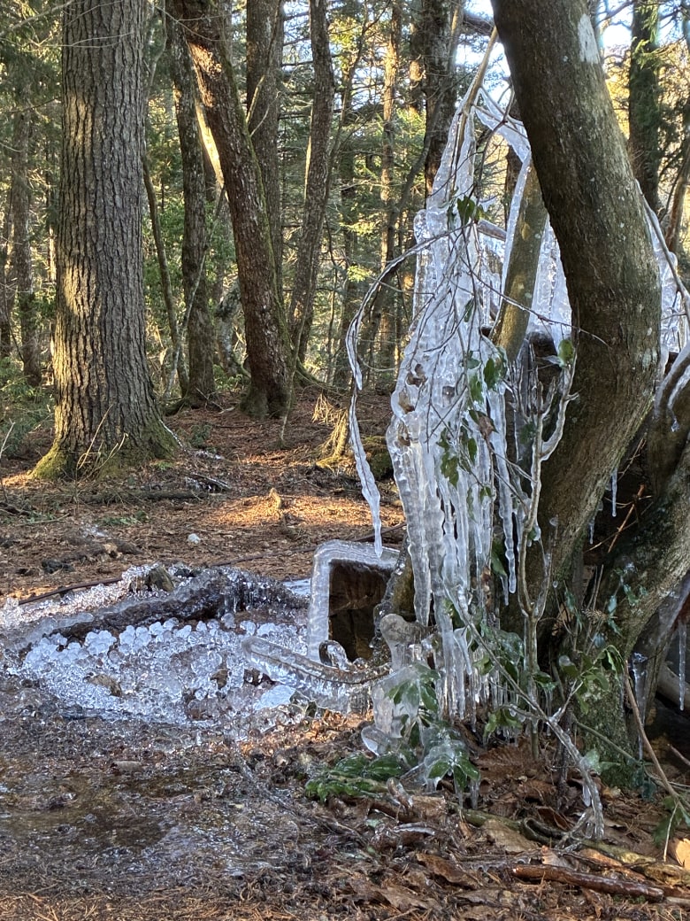 鳴沢氷穴入り口付近