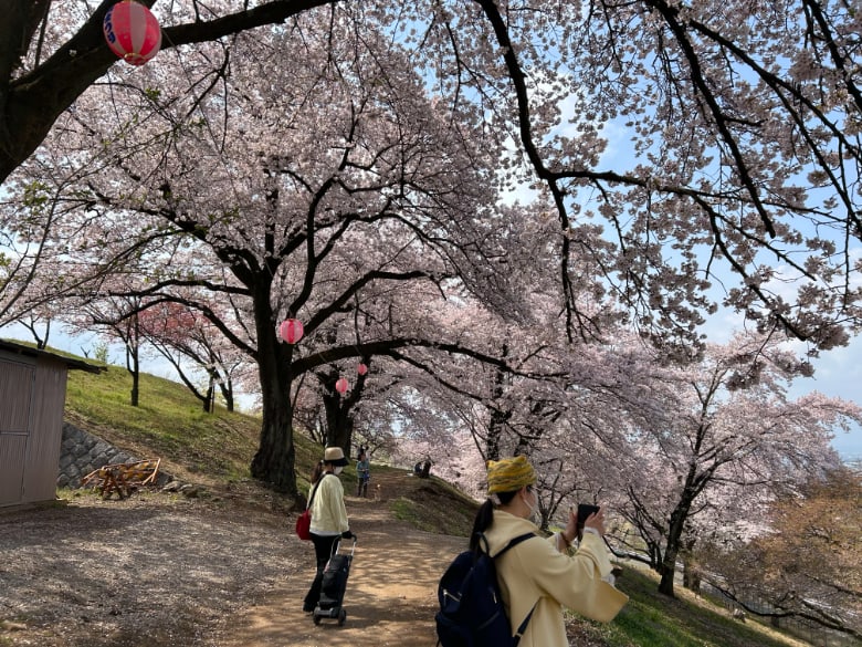 八代ふるさと公園