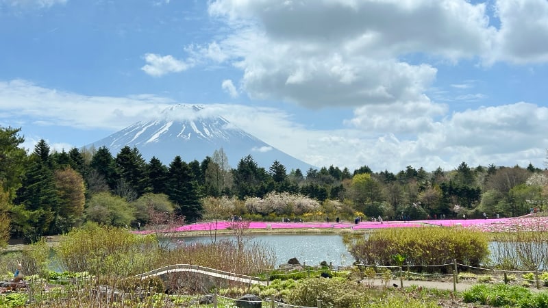富士芝桜まつり