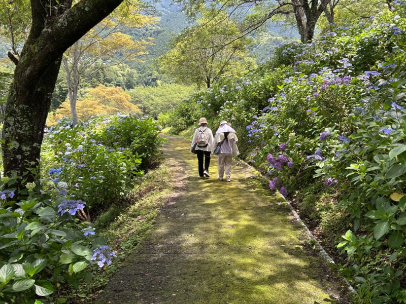 南部町うつぶな公園